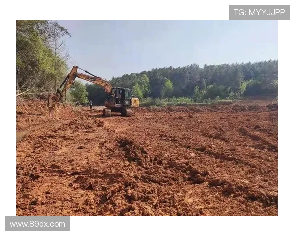 挖掘机农田水利灌溉挖渠
